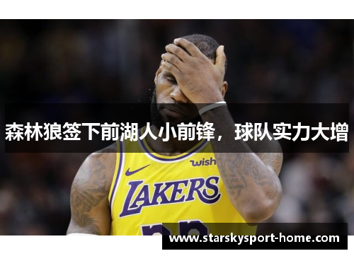 森林狼签下前湖人小前锋，球队实力大增